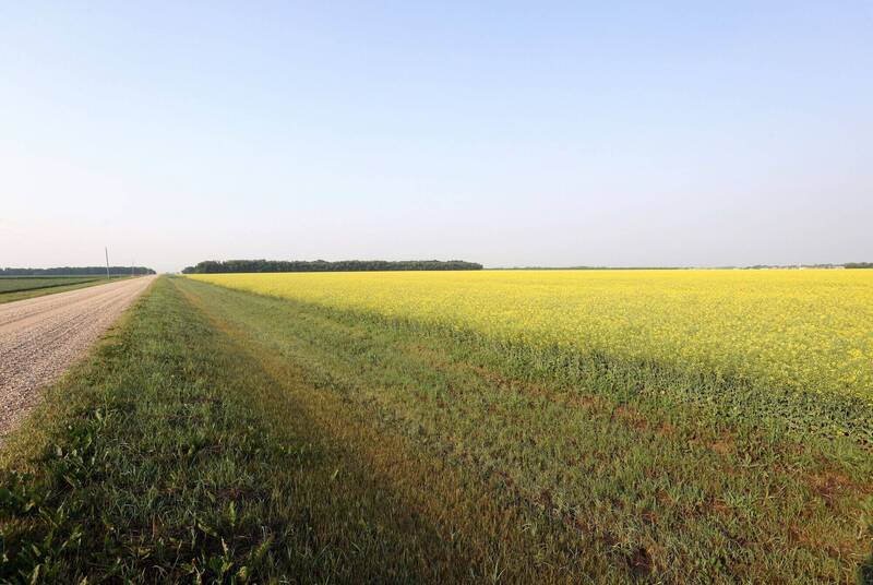 加拿大马尼托巴省（Manitoba）南部于当地时间周二（7月9日）上午发生一起空中飞机相撞事故，造成两名学生飞行员罹难。图为马尼托巴省。（彭博）