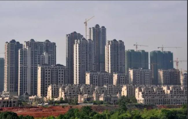 20250715_17525628927516 20250715_17525628927516