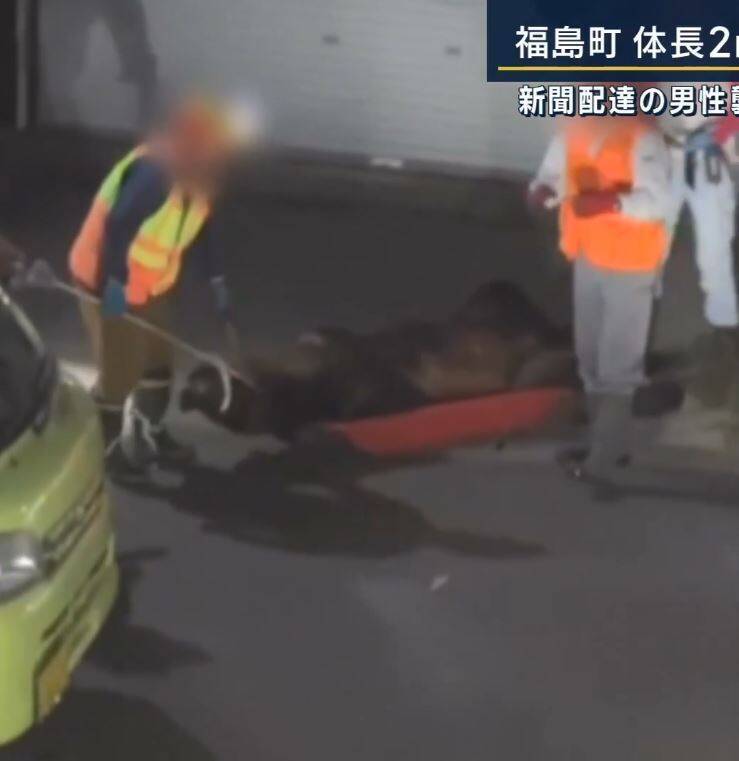 18日福島町傳出獵人們在住宅區射殺一頭棕熊，經過研究機構DNA比對後，確定被射殺的棕熊是12日咬死送報員的棕熊，此外，這隻棕熊4年前曾咬死77歲婦人。（圖擷取自 X ） 
