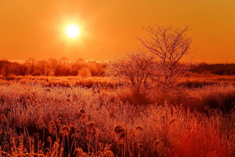 日本北海道東部和北部沿海側，23日預測氣溫最高接近攝氏40度。北海道太陽示意圖。（歐新社）