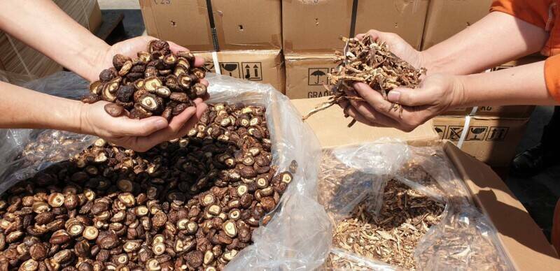 古姓男子借倉庫給同行存放千萬走私中國香菇被查獲。示意圖。（資料照）