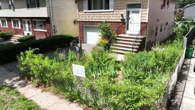 美国纽约一名华裔妇人的庭院因「太丑」，差点被罚2000美元。（撷取自@shanghaidaily/X）