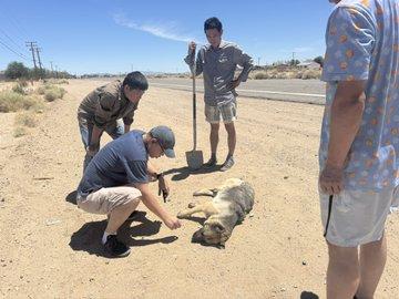 AD_4nXe0y44Hq_86r903b7k4t4EPxmgvESSPBFEOMFIrjzDXaNl_qyww88h10VZNlfibyeYPjn-CGFAeE6u-CcSZnoqZGuoOR6W1WC7z__KMPFlpmKgdbgr4GSKWnF4mz0wuJmhZCcuK9P90et8T58RU