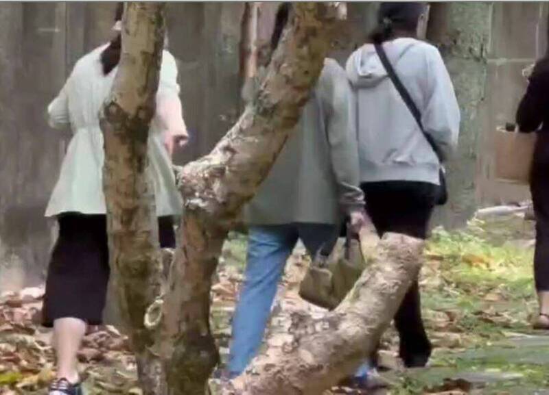 剀剀被恶保母虐死案，其外婆（右）到法院作证。（记者张文川翻摄）