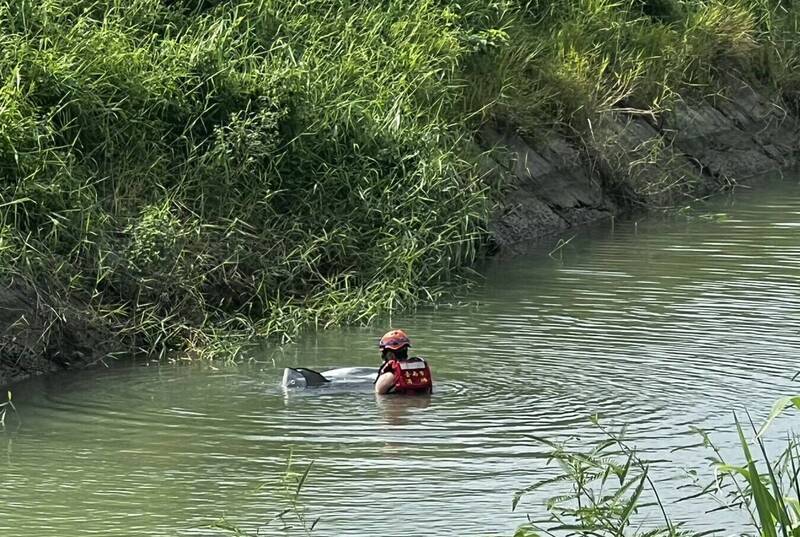 搜救人員在嘉南大圳南幹線官田中脇段,將浮屍打撈上岸。(民眾提供) 搜救人員在嘉南大圳南幹線官田中脇段,將浮屍打撈上岸。(民眾提供)