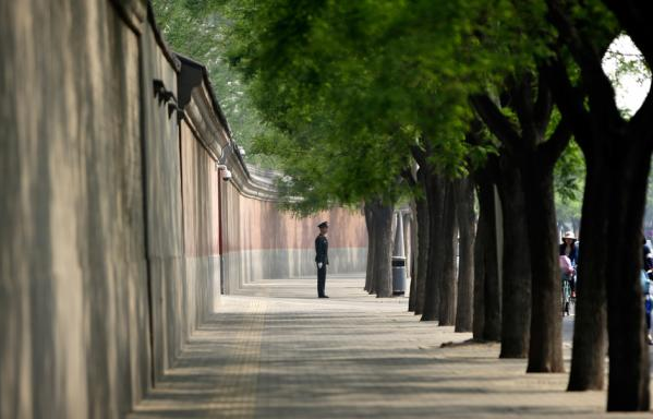 20250721_17531468621059