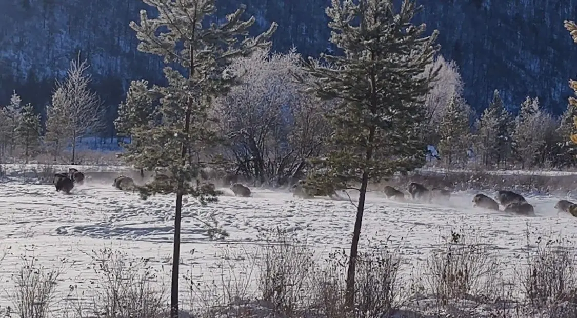 322EF3E89A9D1C0F9BFE79D1CFB466F725A9C565_size159_w1146_h632